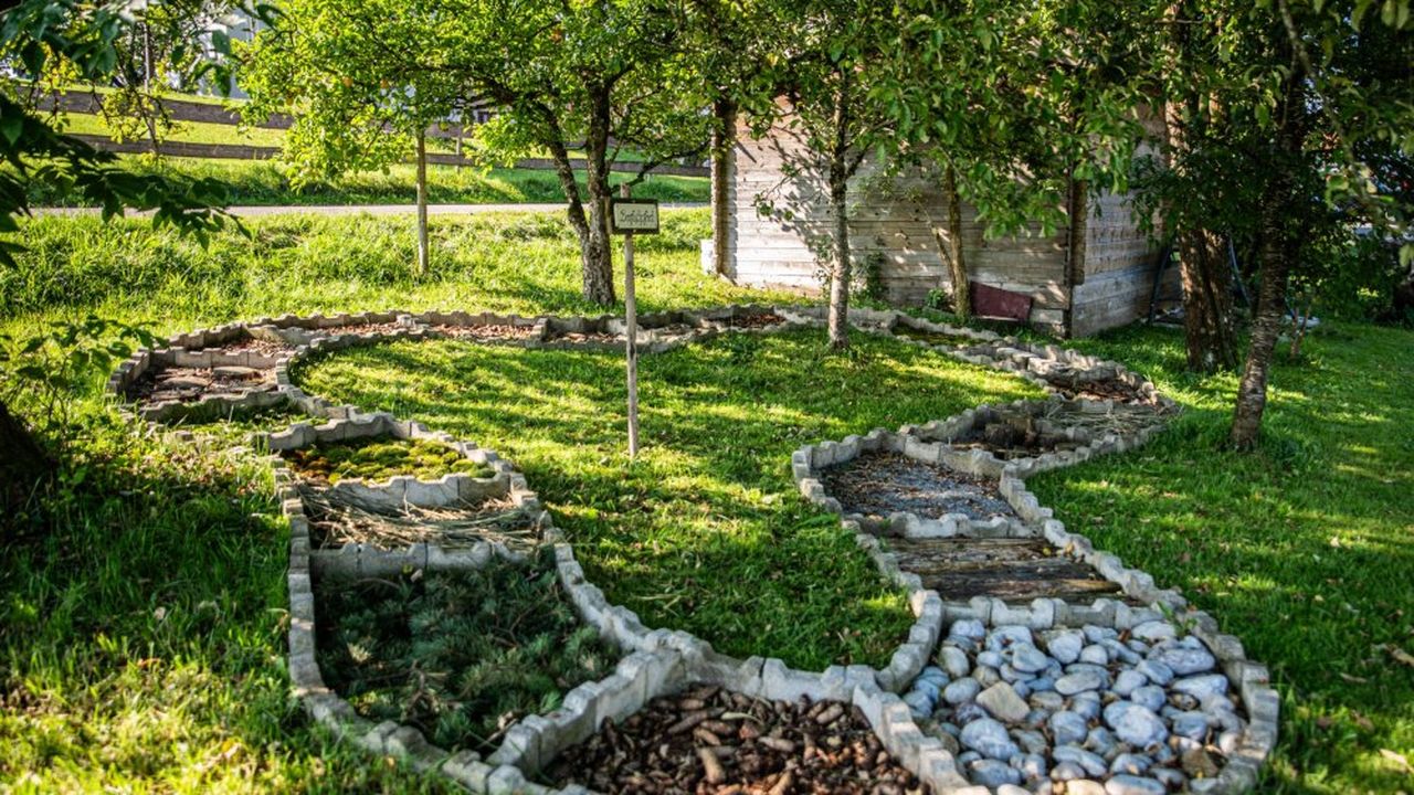 Barfußpfad Barfußpfad